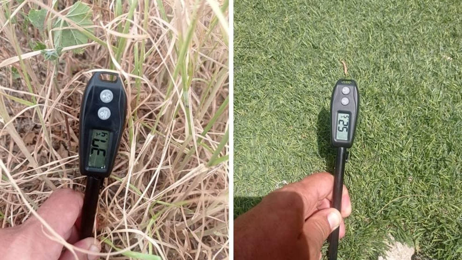 Comparación de temperaturas a la misma hora en la parcela con vegetación espontánea (37,4 ºC) y la parcela con césped artificial (52,5 ºC)