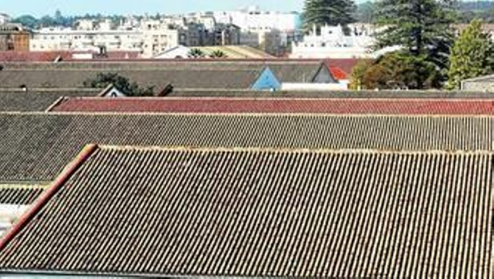 La Plataforma Campo de Guía aboga para que los planes urbanísticos garanticen la conservación del conjunto bodeguero que cierra el casco histórico por el Sur.