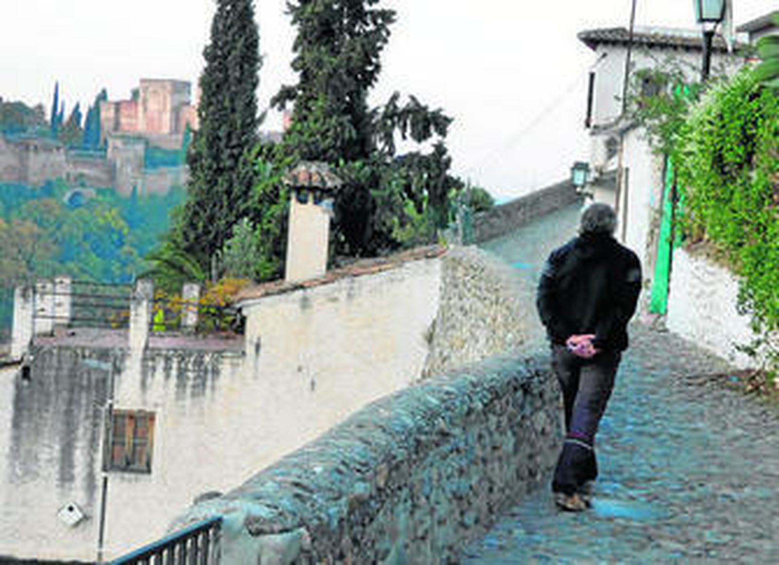 ¿Por qué les gusta tanto a los guiris fotografiar chumberas?