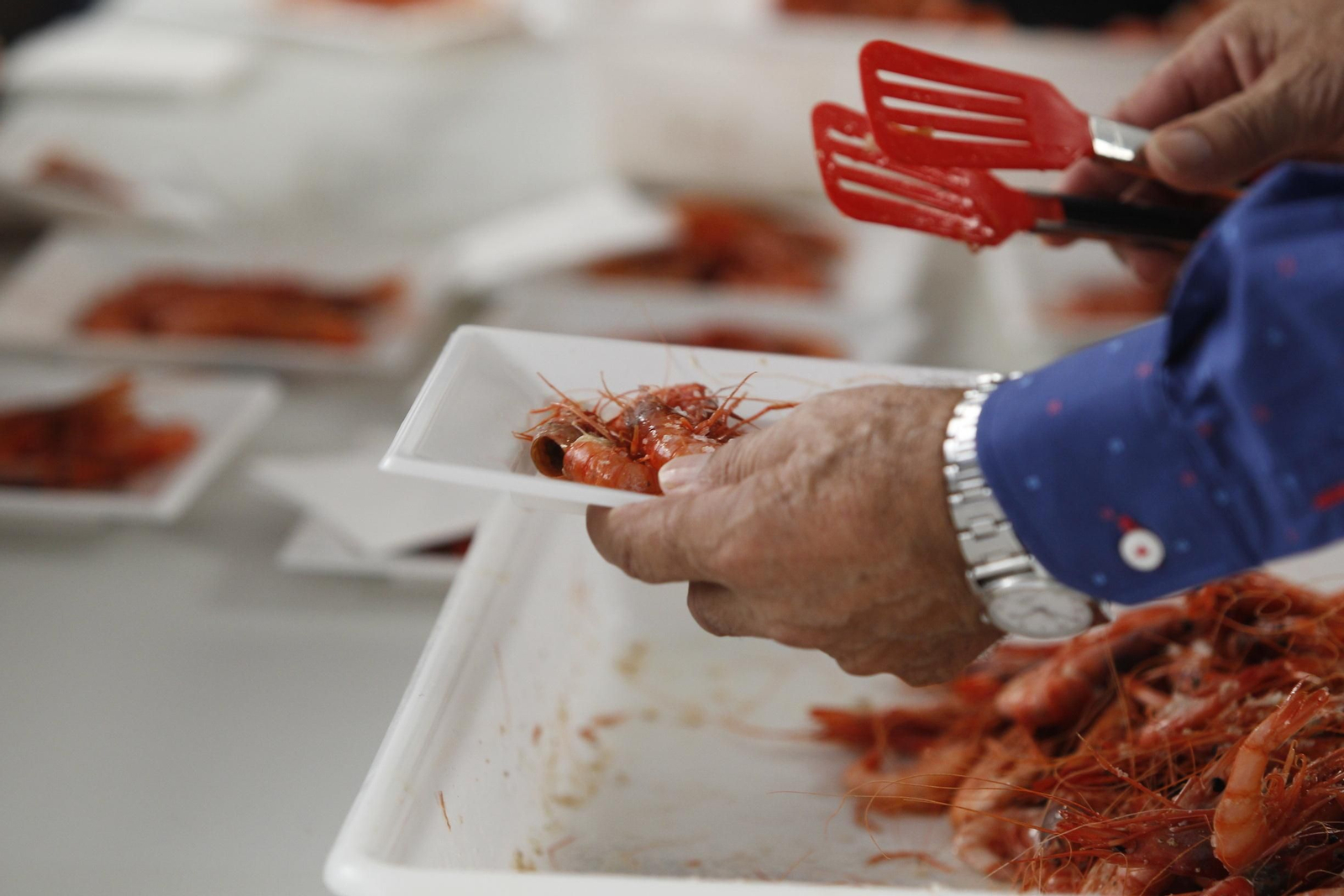 Fotogalería Feria de la Gamba Roja de Garrucha