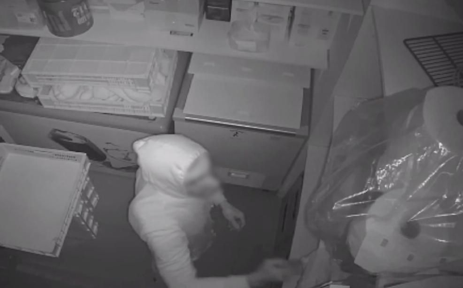 Uno de los ladrones fue captado por las cámaras de un local.