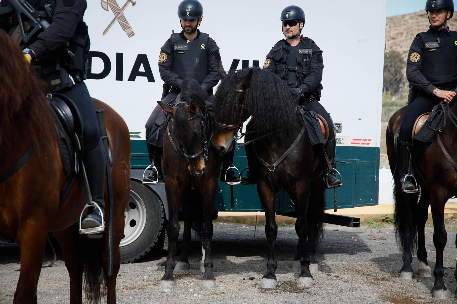 Imágenes del Escuadrón de Caballería de la Guardia Civil en Gádor.