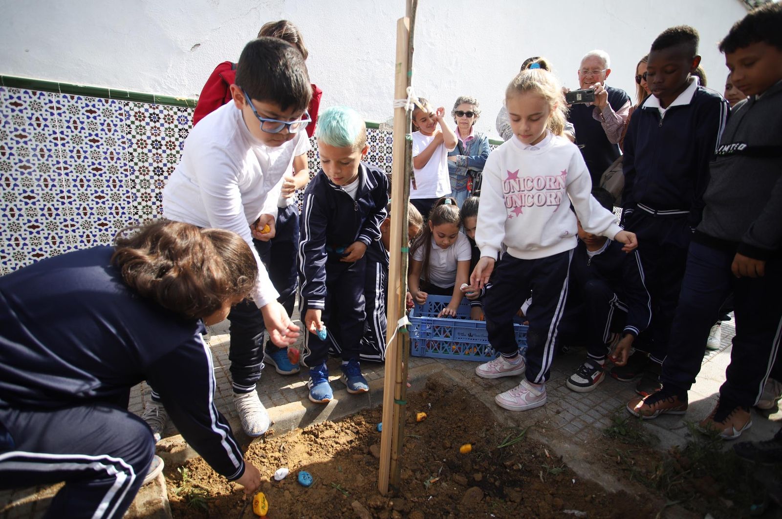 Imágenes la plantación de árboles en la Barriada de la Navidad por alumnos del Colegio Virgen de Belén