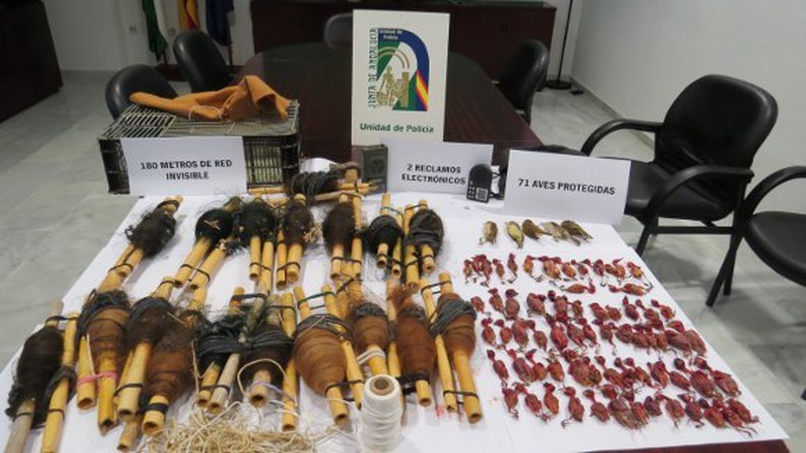 Dos imputados por cazar aves de forma furtiva con redes japonesas