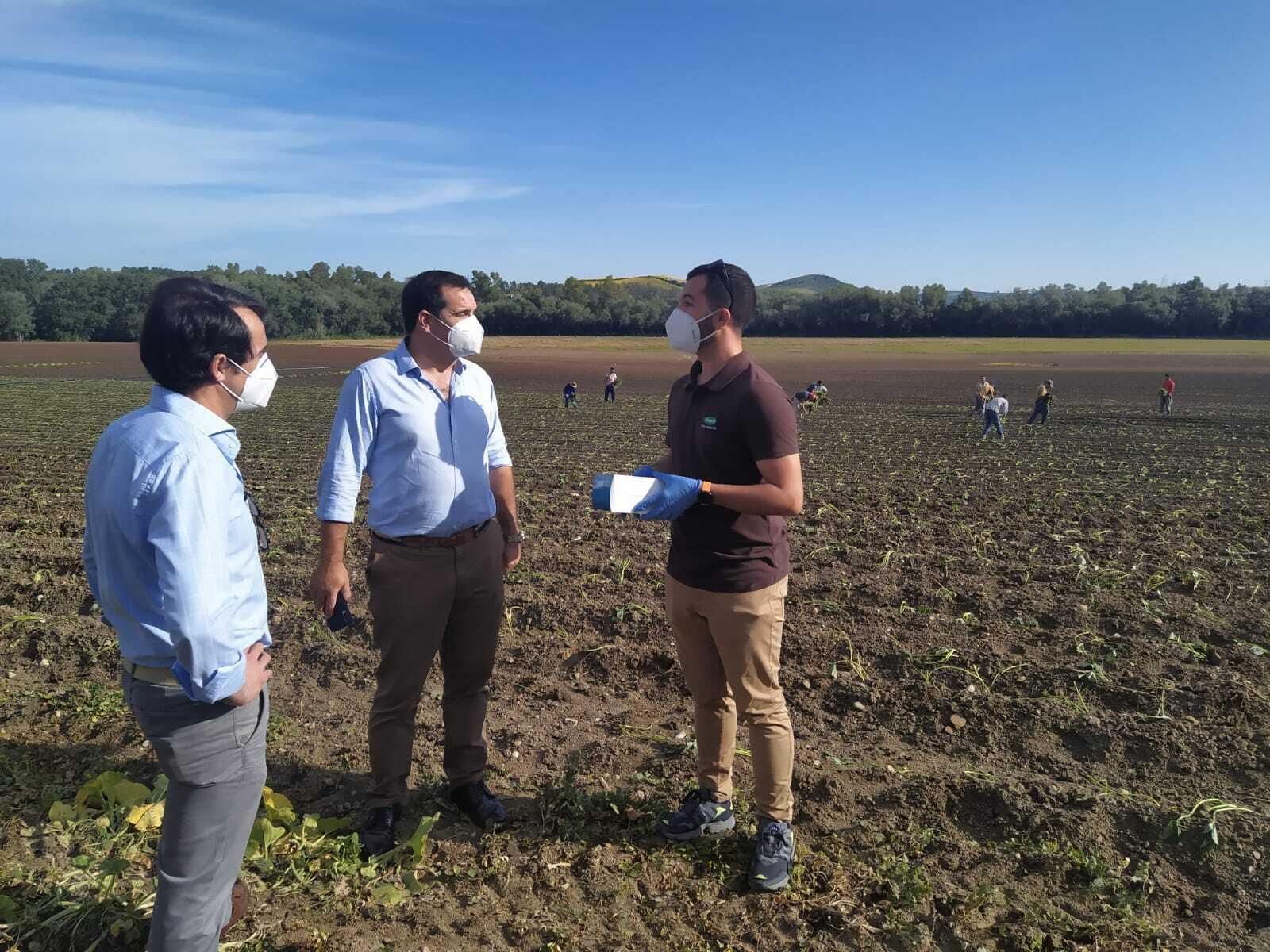 Responsables de Asaja-Cádiz entregan una caja de mascarillas al propietario de una explotación de la zona en plena campaña del boniato.