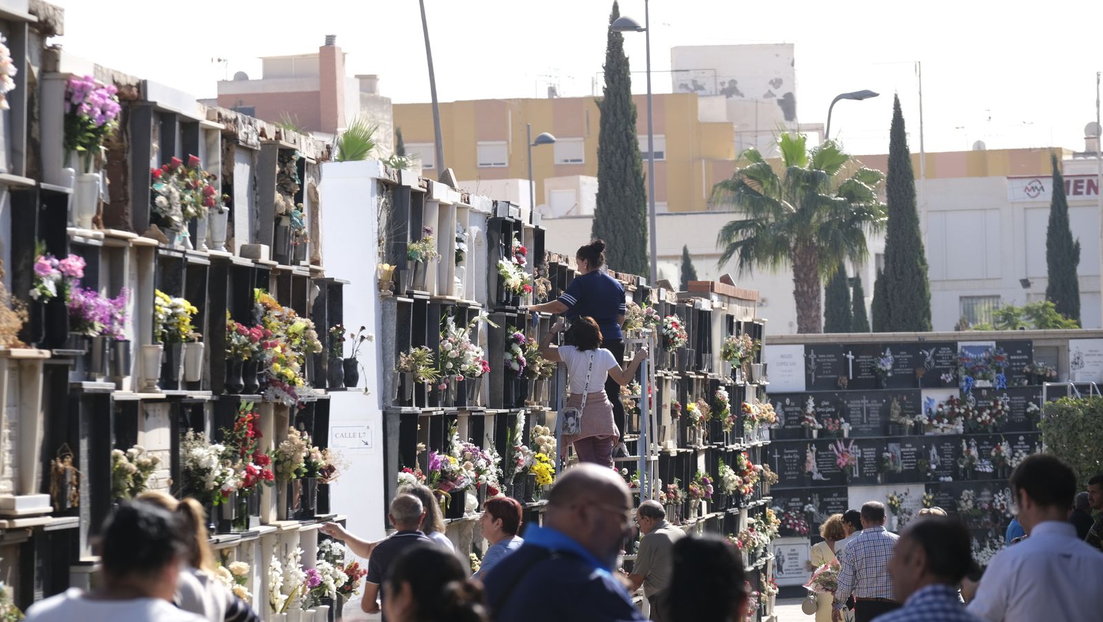 Imágenes del Día de Todos los Santos en el Cementerio de San José de Almería