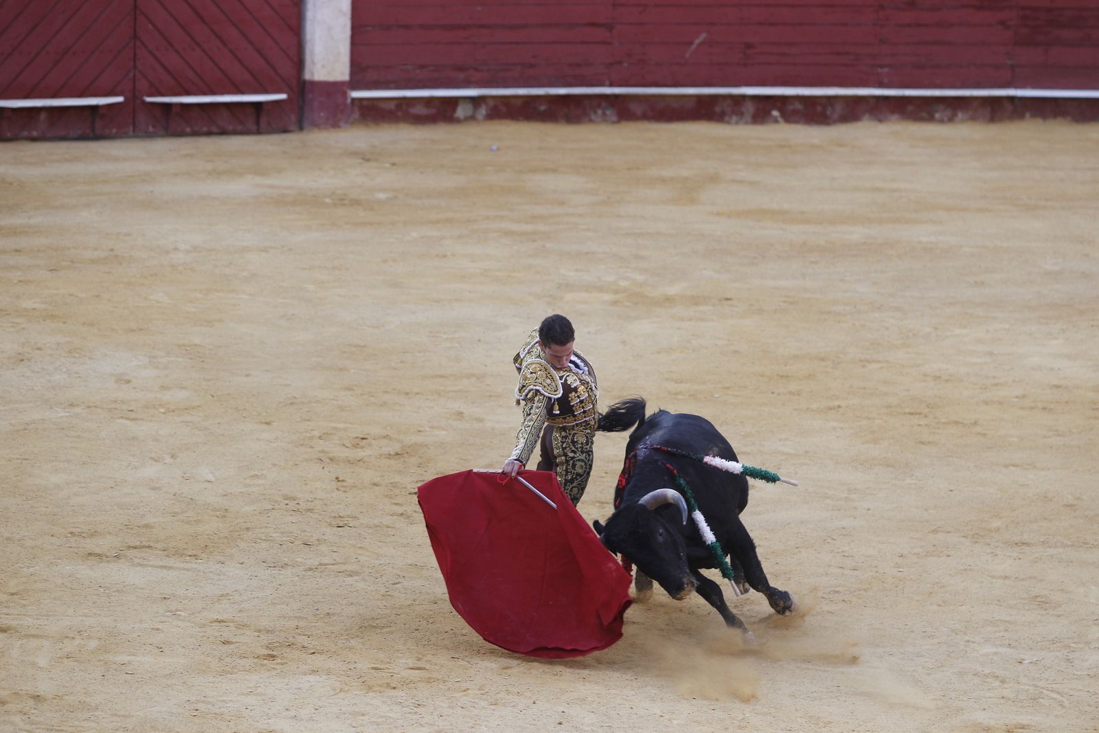 Fotogalería novillada Escuela Taurina de Almería. Feria de Almería 2019