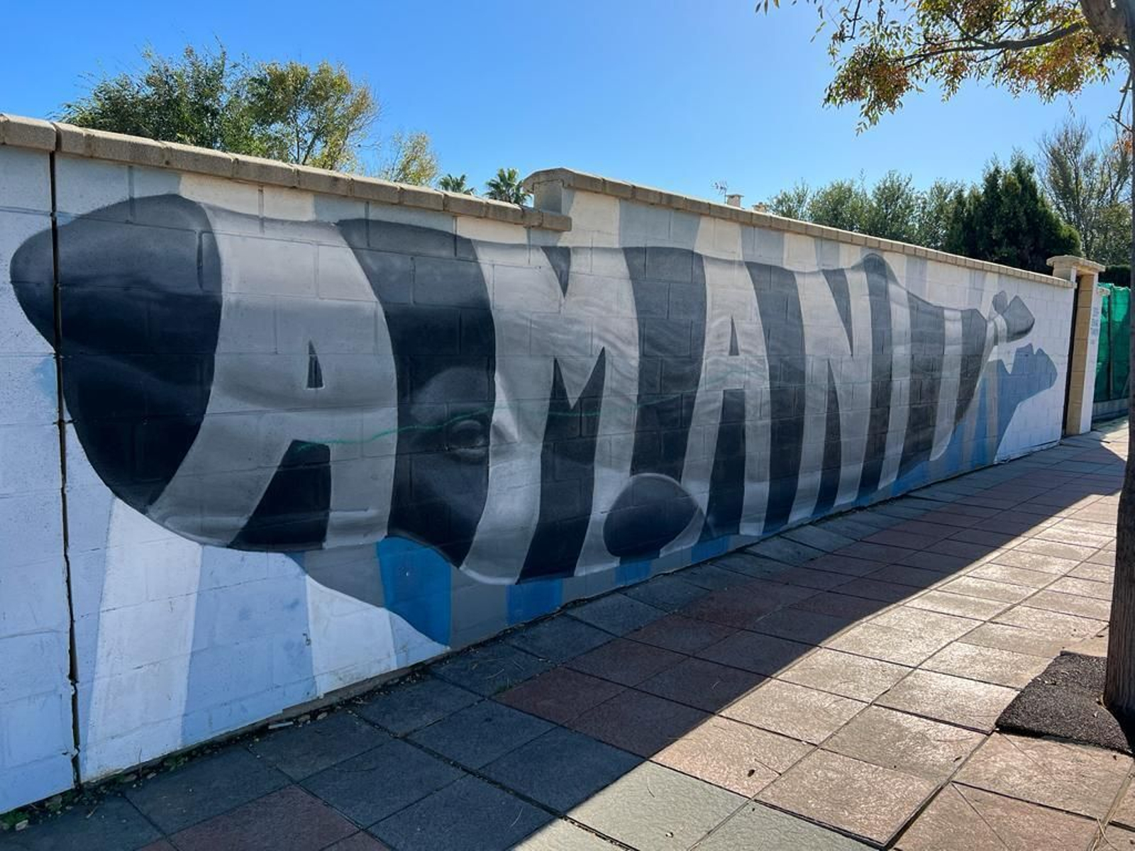 Grafitis, el arte callejero que se esconde en las calles de Algeciras
