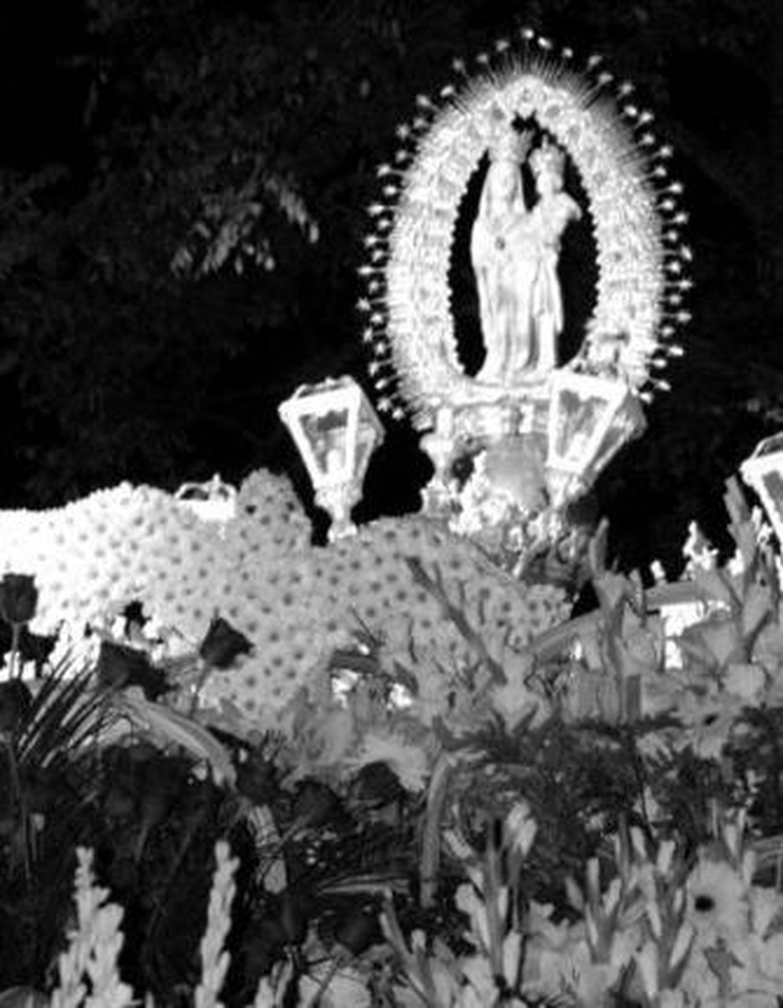 La Virgen de los Milagros sobre un manto de flores.