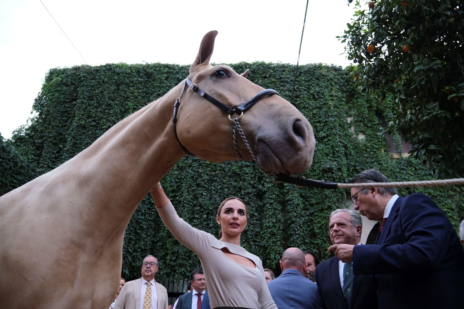 La Feria del Caballo de Córdoba (Cabalcor) 2023, en imágenes.
