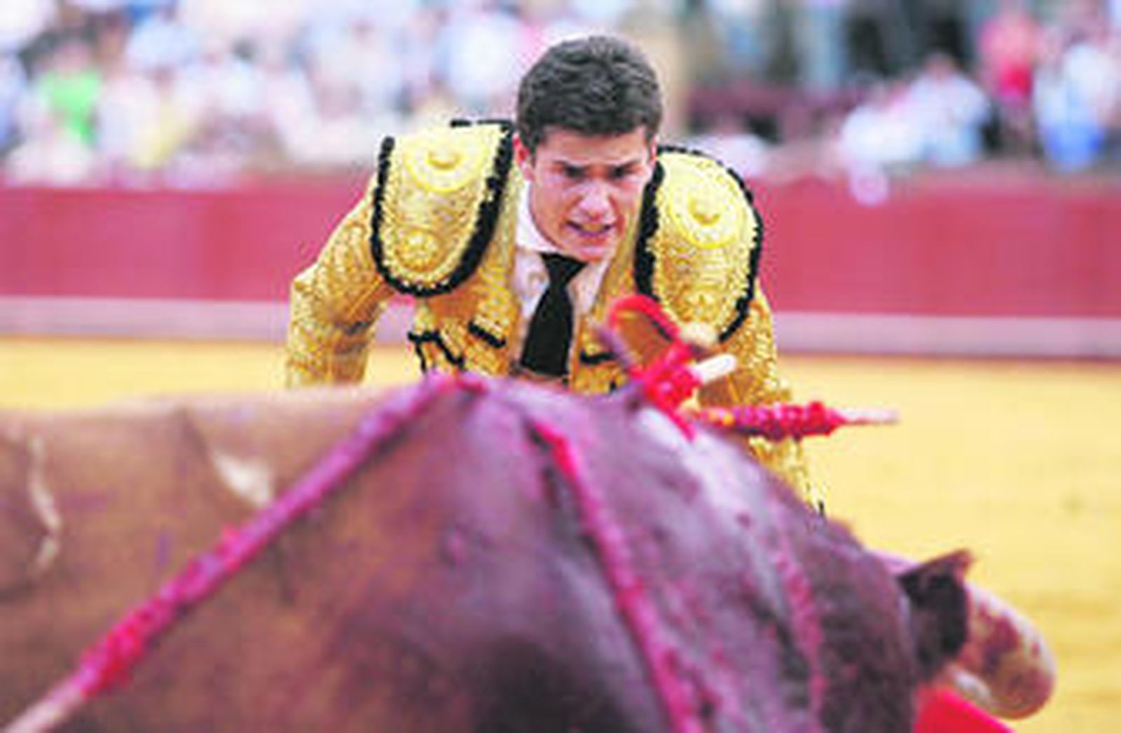 Daniel Luque, tras la estocada al toro 'Barberito', de Alcurrucén, se encara con el astado, al que desorejó.