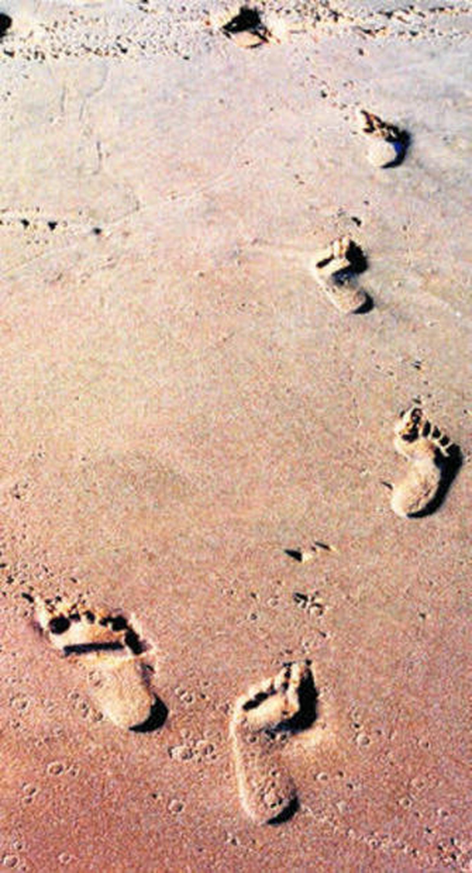 Imagen ganadora del Premio de Fotografía del IAJ, en una edición pasada.