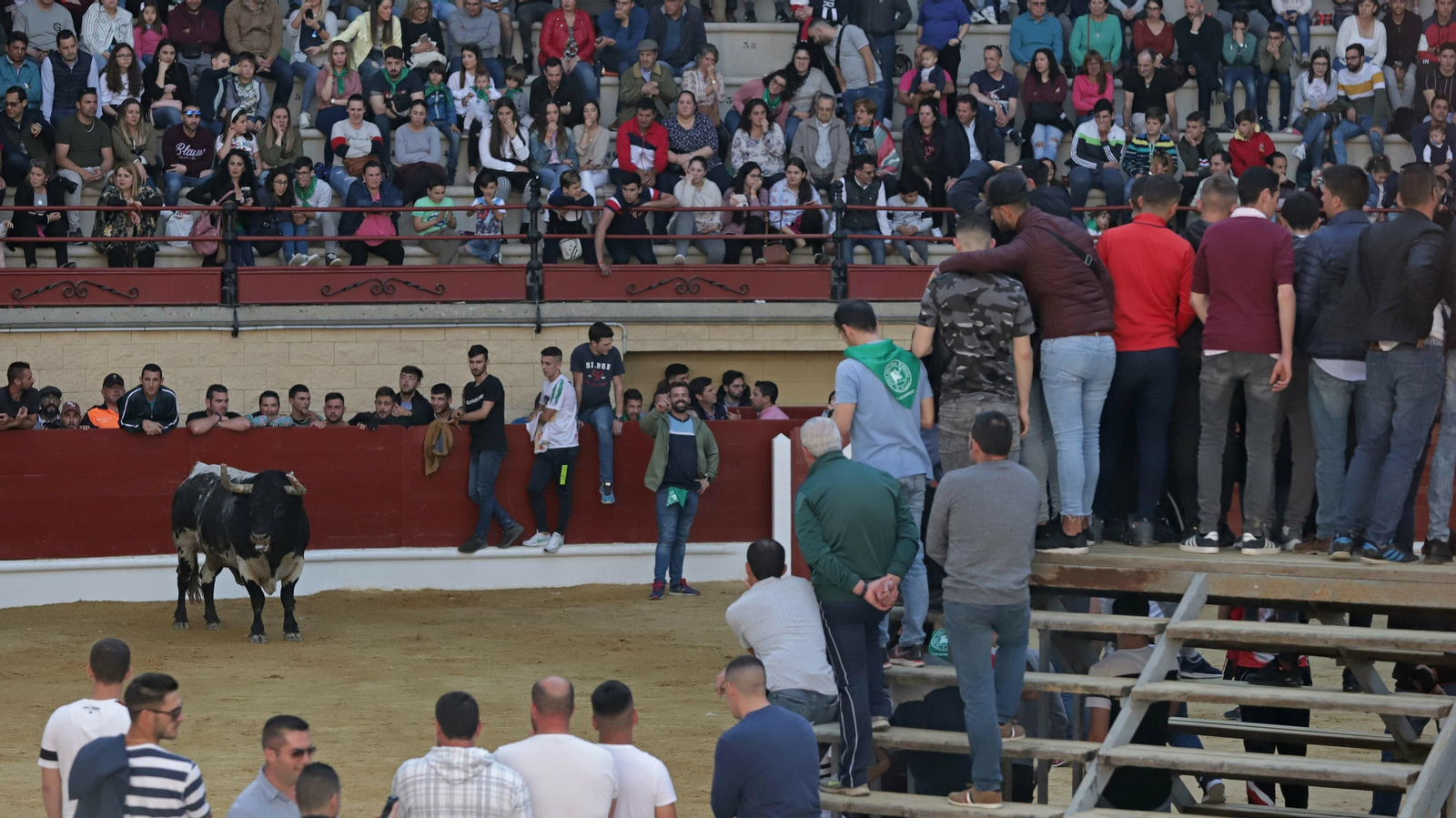 Toro de la Víspera en Los Barrios