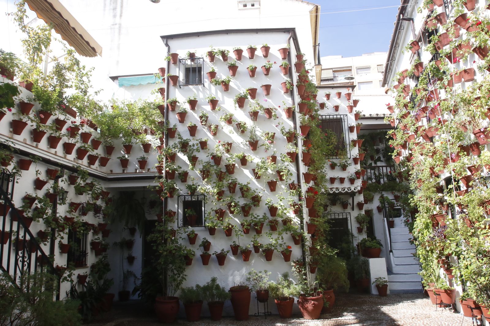 Las fotografías de los Patios de Córdoba en otoño