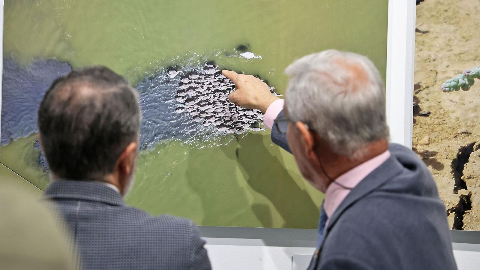 Dos personas visitan al exposición.