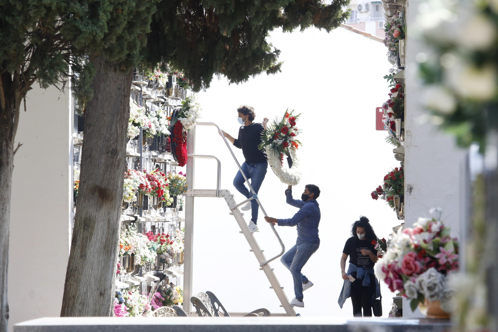 las fotos del día de Todos los Santos