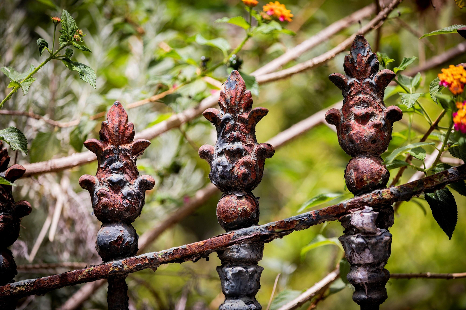 Imágenes del abandono del parque Genovés en Cádiz