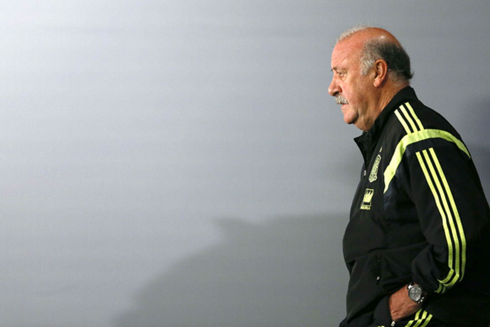 Del Bosque insiste: "No quiero ser un estorbo; si tenemos que seguir, seguiremos"