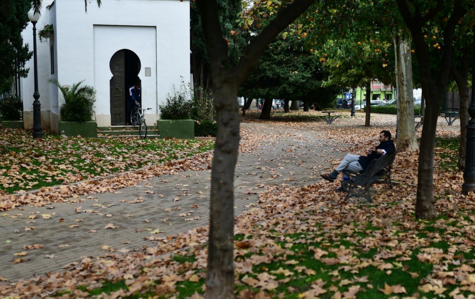 El rastro del otoño en Córdoba