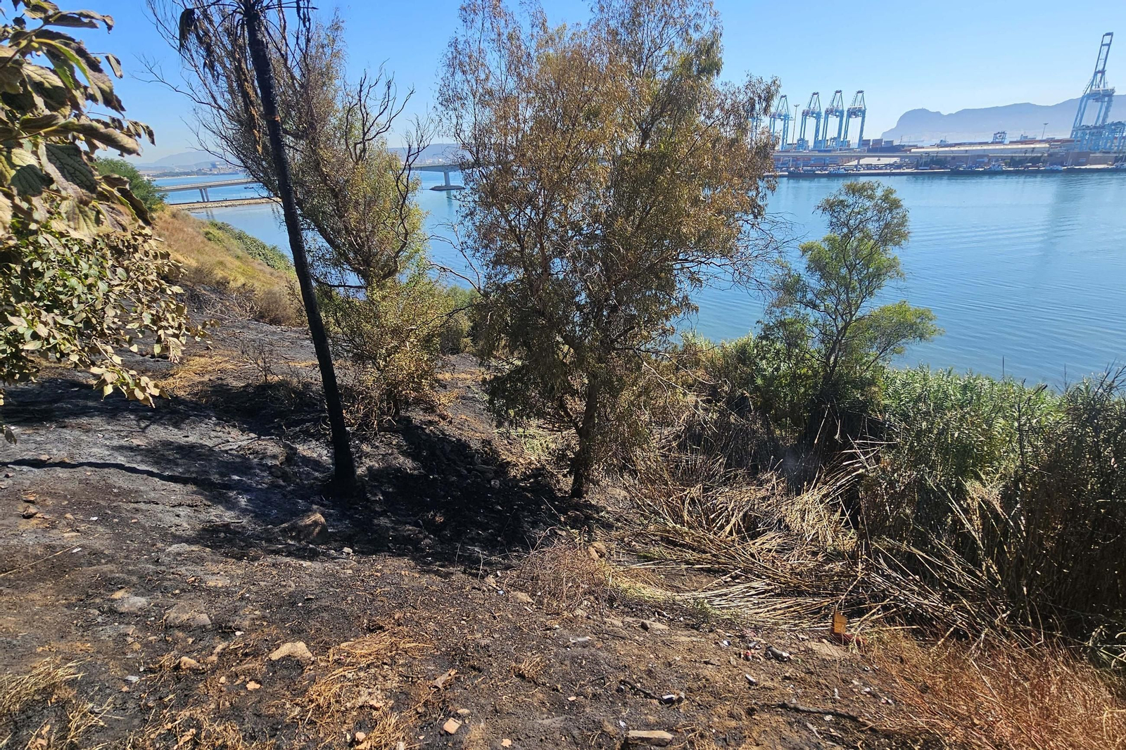 Así ha quedado la zona quemada por el incendio en el Paseo de la Cornisa de Algeciras