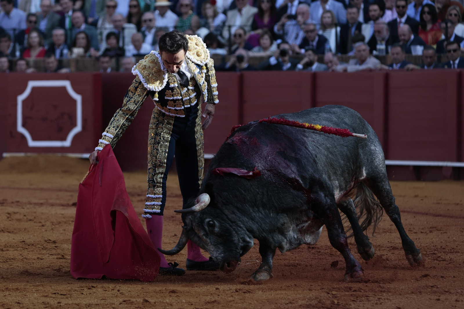 las imágenes del festejo