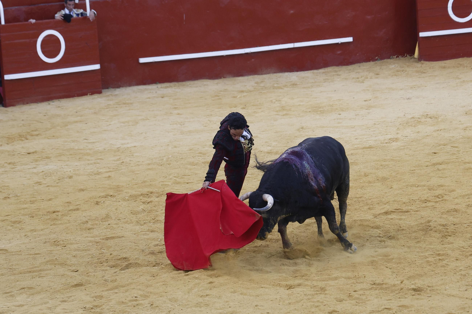 Las fotos de la corrida de toros de la Feria de San Roque