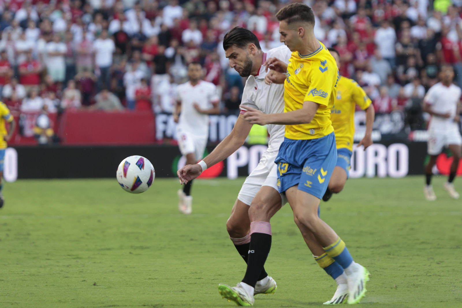 Las imágenes del Sevilla - Las palmas