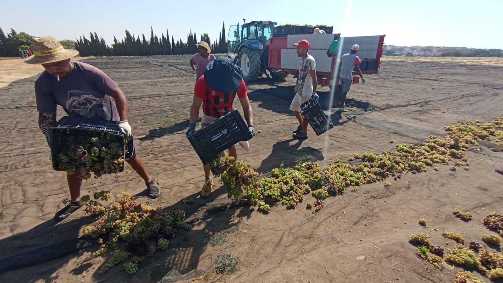 Jornaleros en una pasera en Montilla.