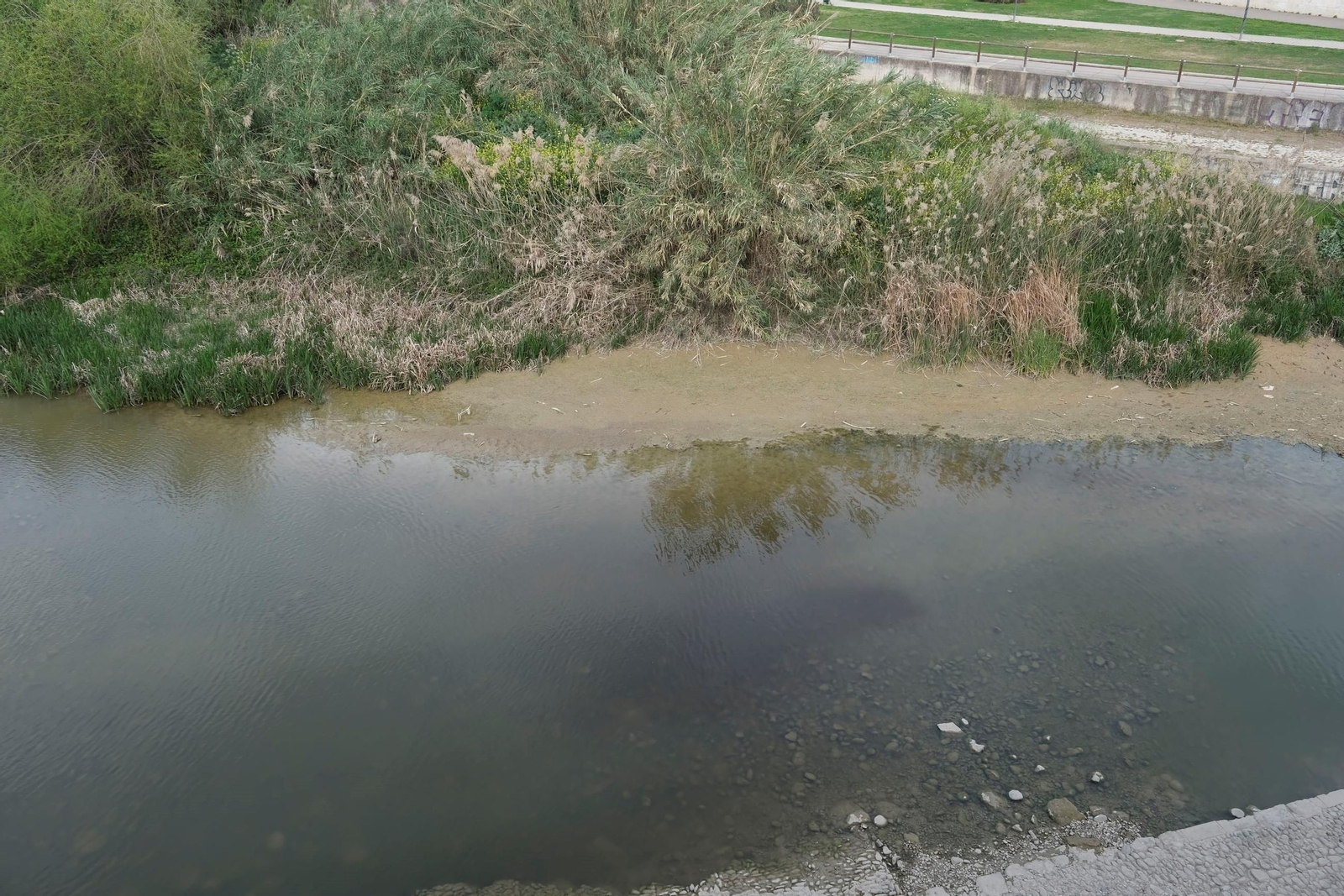 Mancha de residuos en el río Guadalquivir