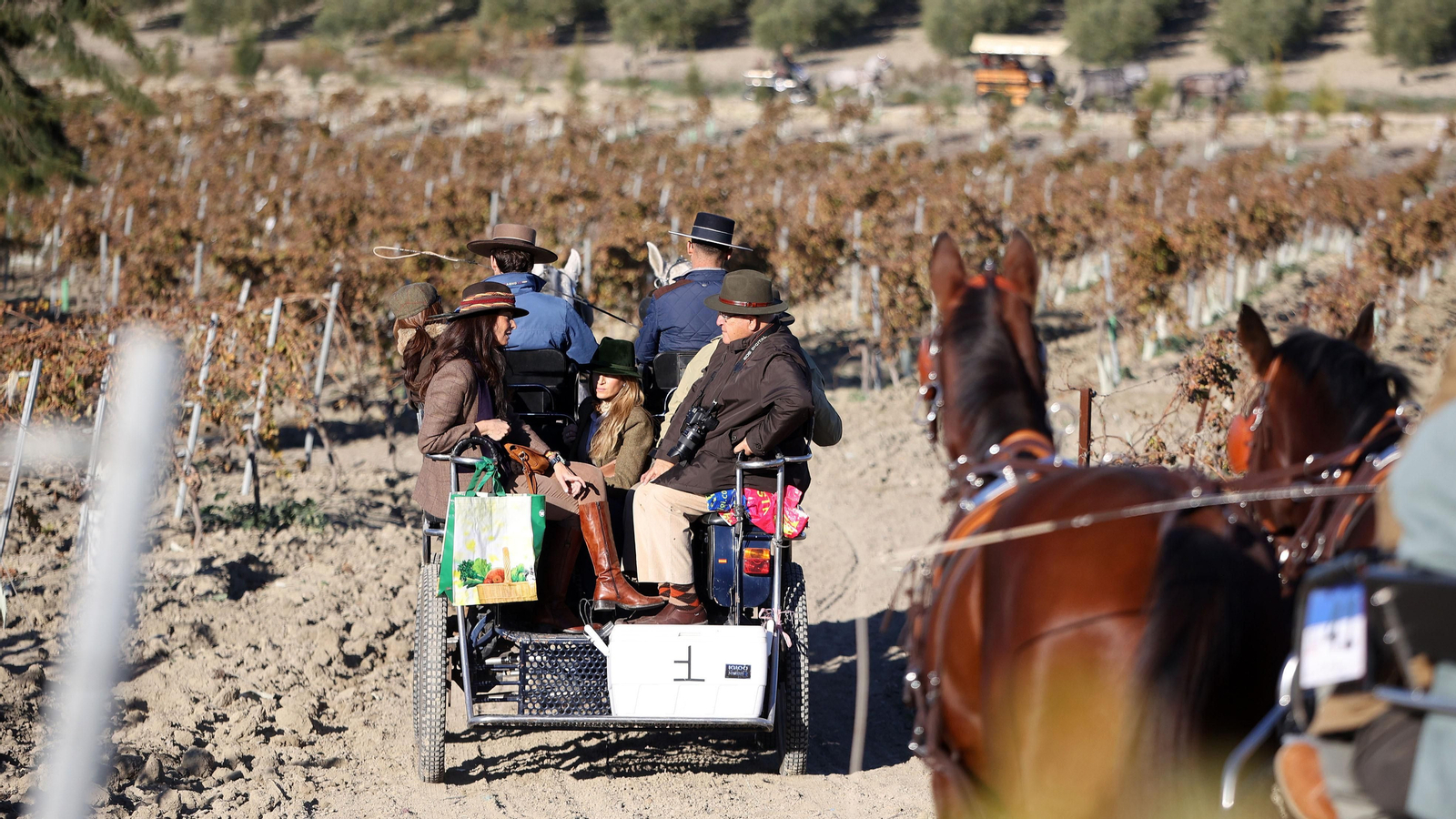 II Ruta Viñas de Jerez