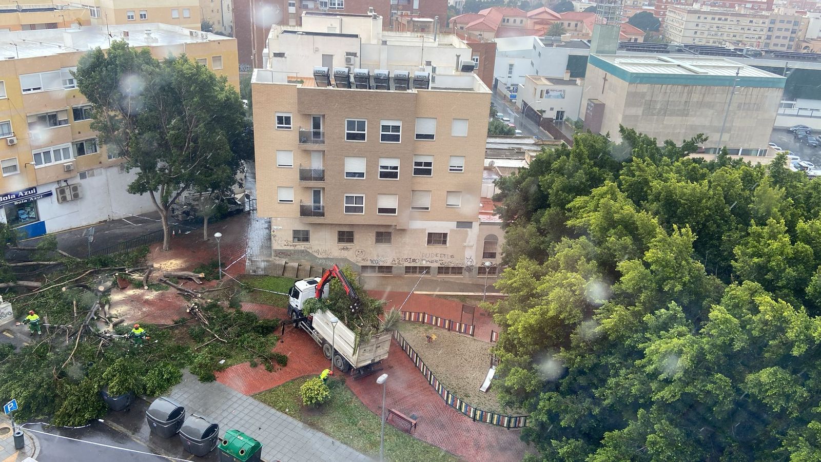 Árboles de gran porte caído en la plaza Miguel Ángel Blanco, junto a la Bola Azul, tras las fuertes rachas de viento registradas en la capital almeriense.