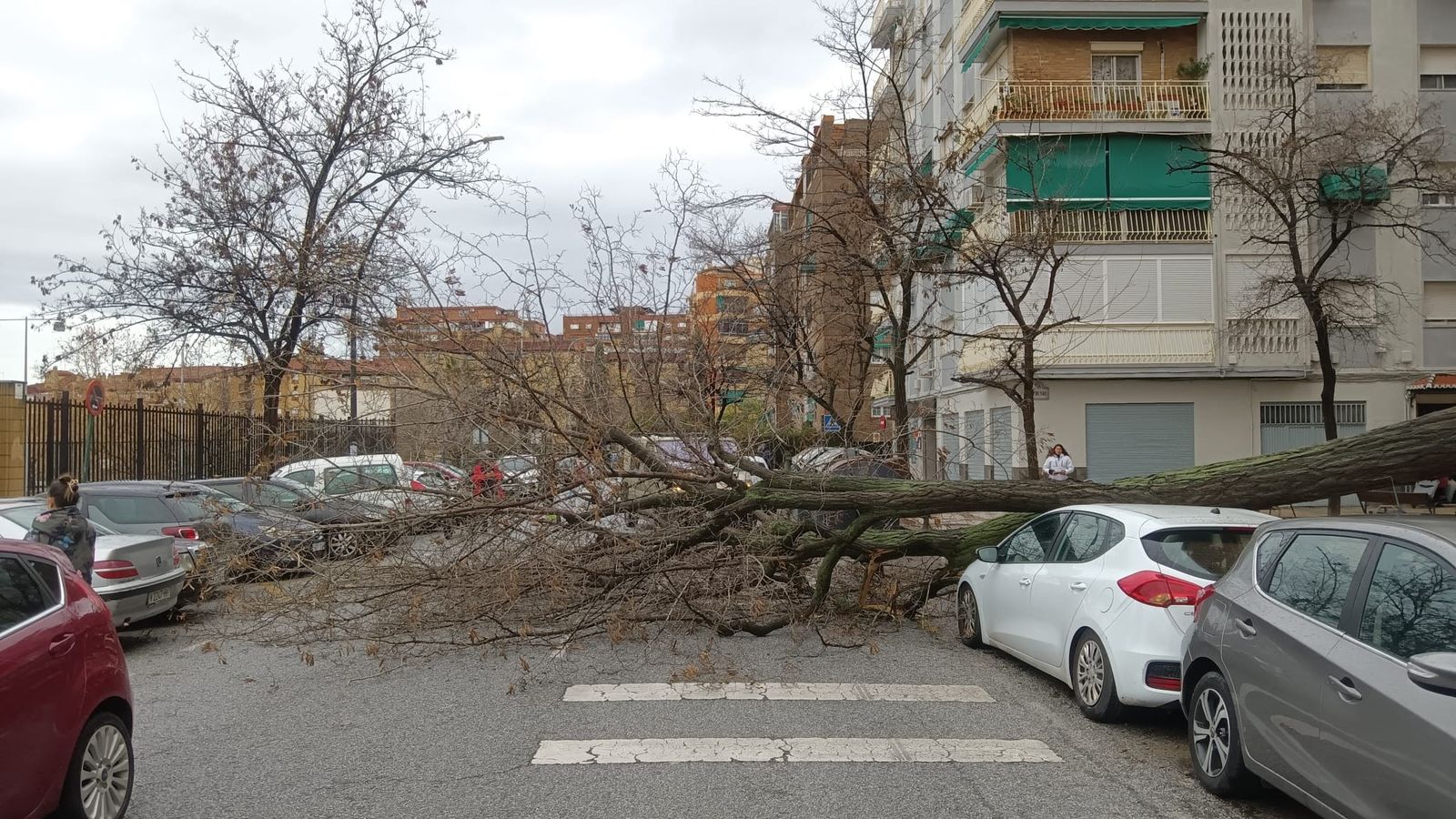 Viento, agua y destrozos: las imágenes de los efectos de la borrasca en la provincia de Granada