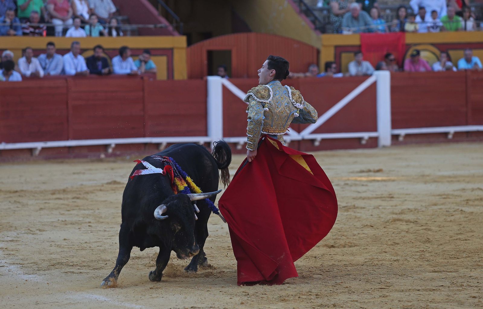 La novillada de Miguelín que abre la feria de Algeciras, en imágenes