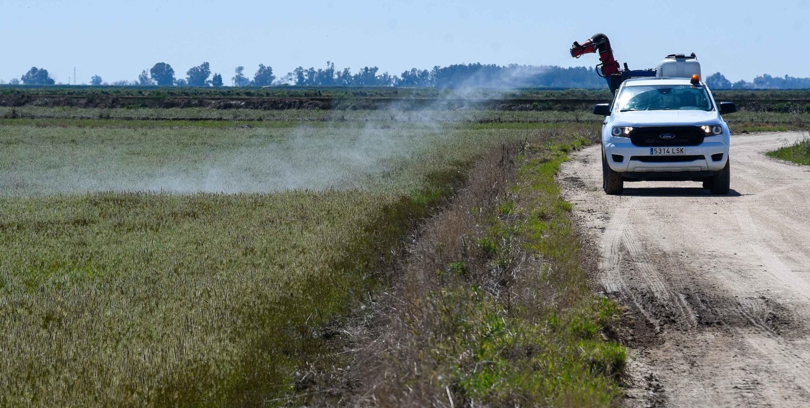 Control de larvas por el Virus del Nilo en la marisma de La Puebla del Río