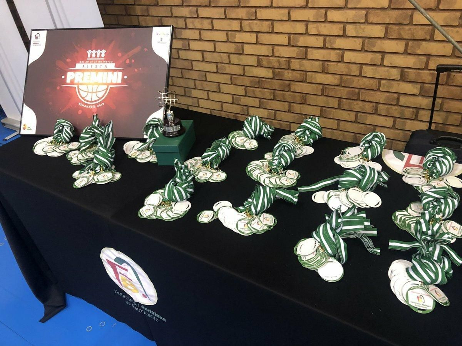 La V Fiesta Preminibásket en Benahavís, en fotos.