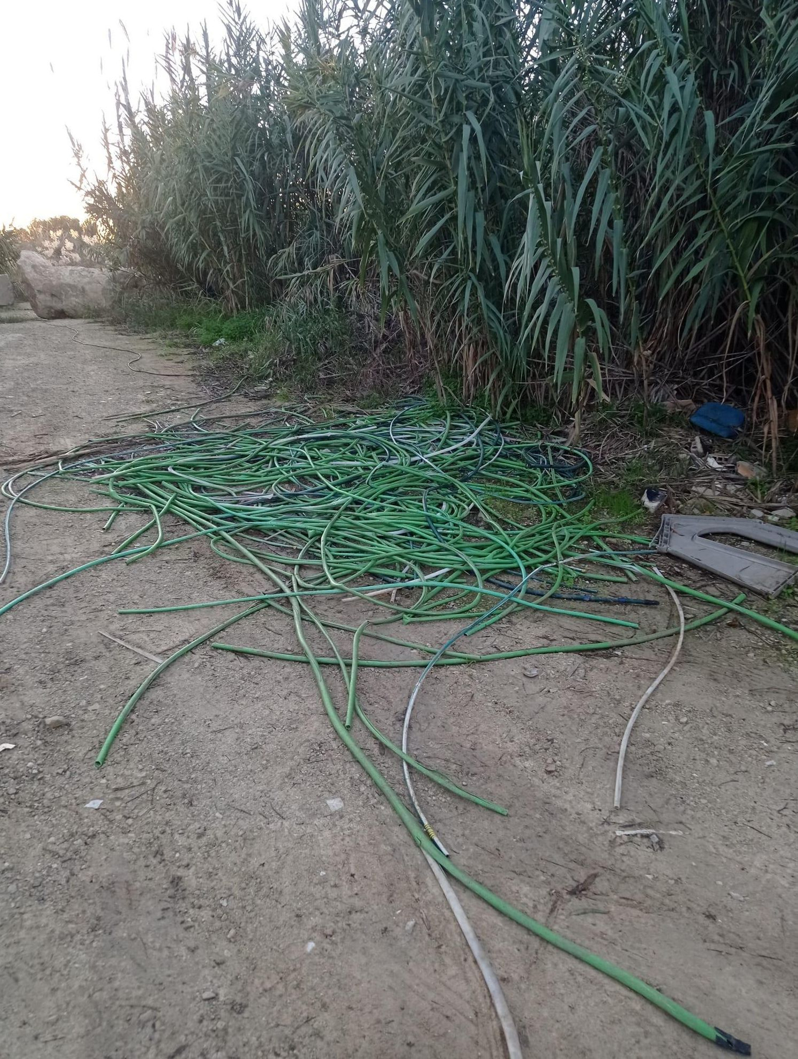 Más restos en el entorno del río Guadalete.