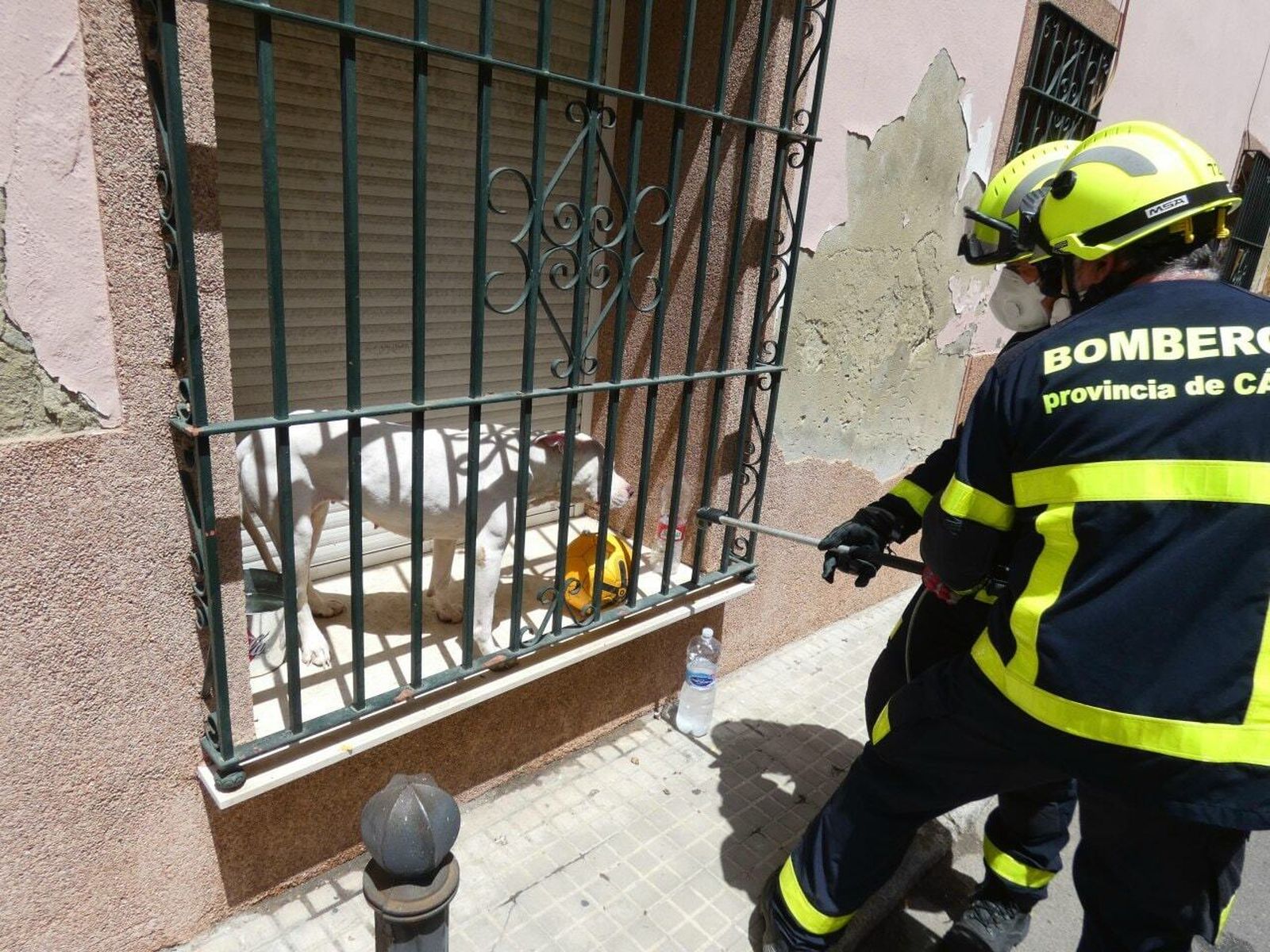 Los bomberos actuaron días atrás para abrirle la ventana, porque el perro estaba a pleno sol.