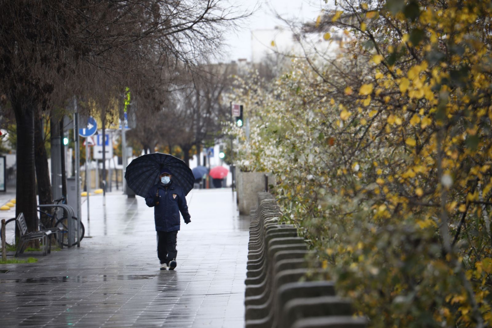 Las fotografías del paso de la borrasca Filomena por Córdoba