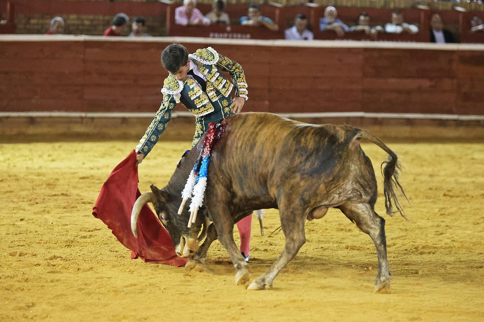 Toros La Merced 2024 Novillada con picadores(