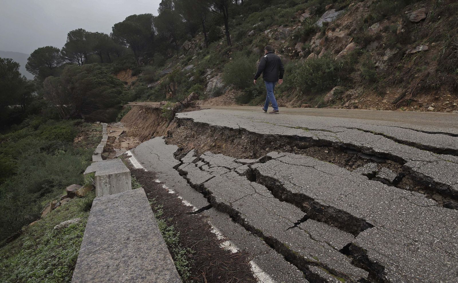 La Dirección General de Tráfico (DGT) informa de que Andalucía contaba con 144 carreteras afectadas, de las que 73 permanecieron cortadas varios días, siendo la provincia de Cádiz la más afectada, con 37 vías cerradas al tráfico.  La carretera CA-8201 que conecta Jimena de la Frontera con Ubrique cerrada por el derrumbe de la calzada.