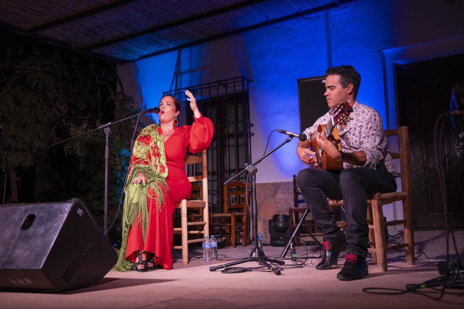 Las mejores imágenes del Festival de Flamenco en Fondón