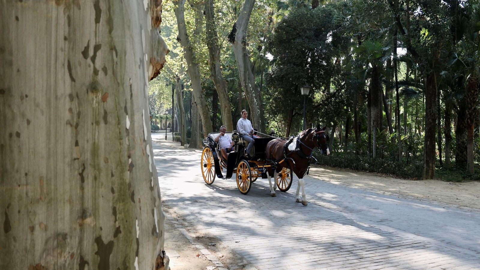 El Parque de Marís Luisa, uno de los principales monumentos de Sevilla