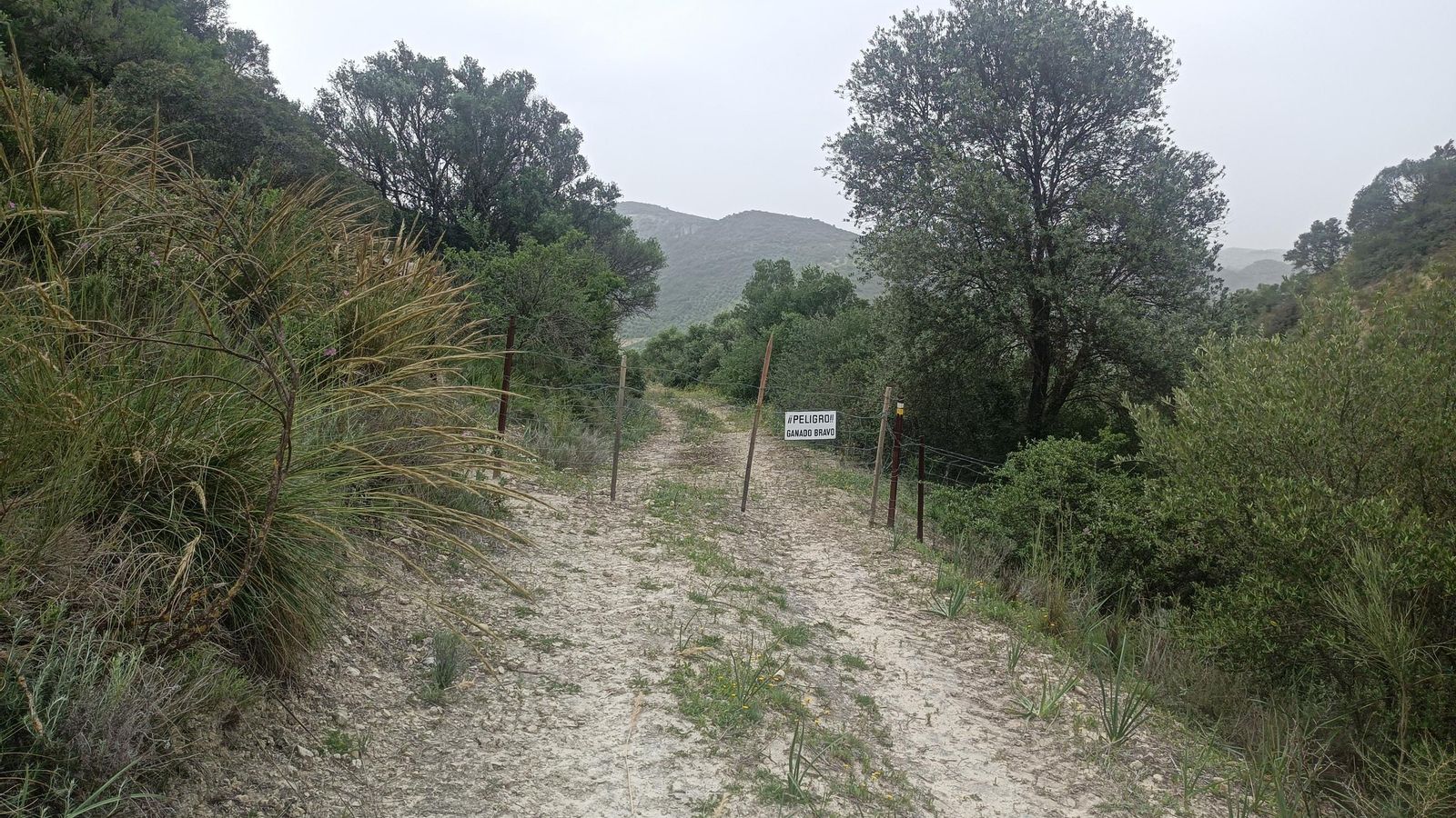 Pasamos esta cancela. Ignoramos el cartel: no suele haber ganado bravo.