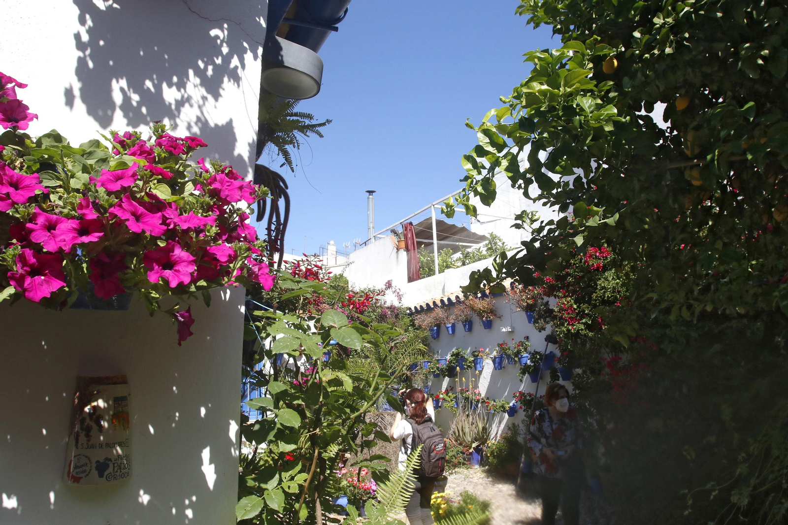 Ruta San Lorenzo de los Patios de Córdoba, en imágenes