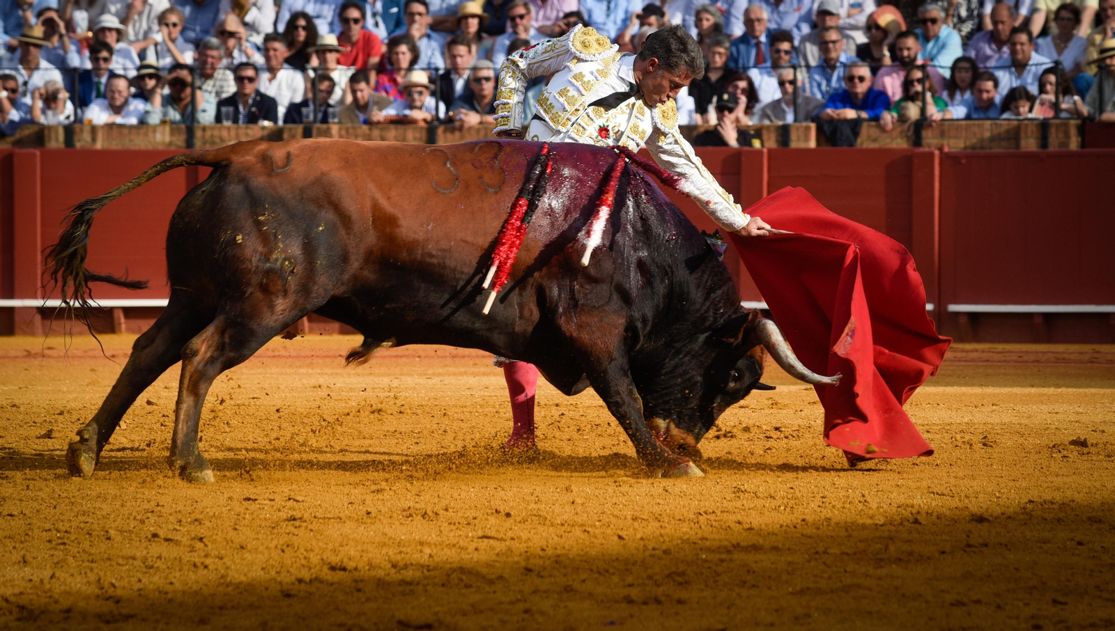 Las imágenes de la corrida de toros de El Fandi, Manuel Escribano y Esaú Fernández
