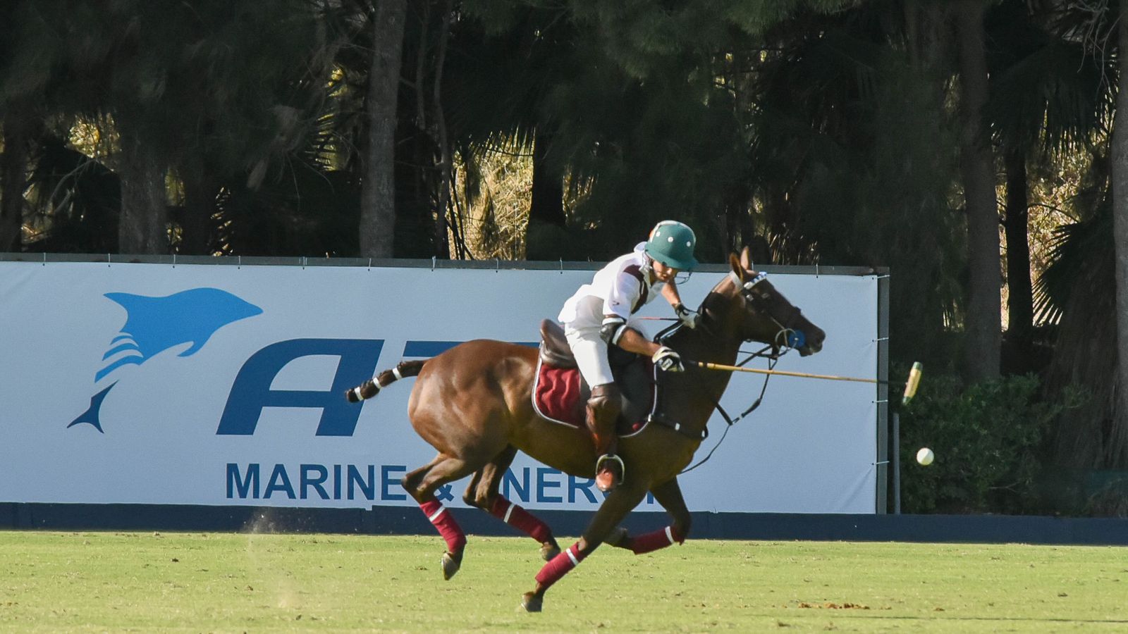 Las fotos del torneo Internacional de polo Sotogrande