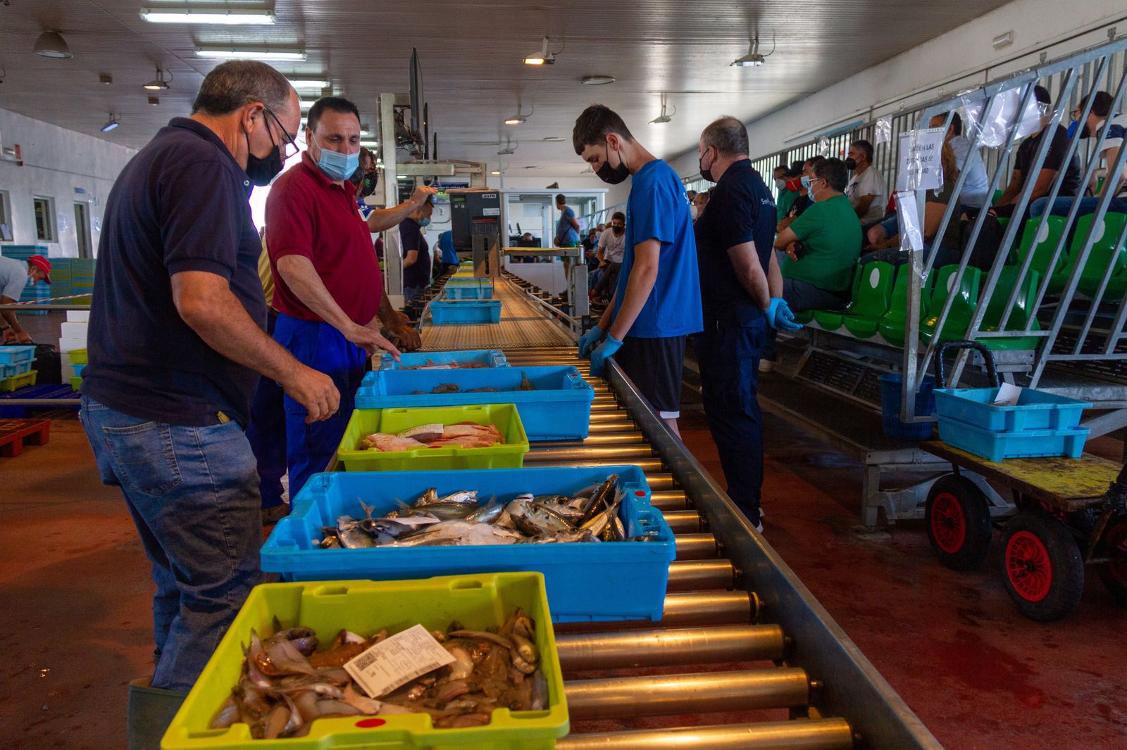 La lonja de Motril  factura más de dos millones de euros hasta julio