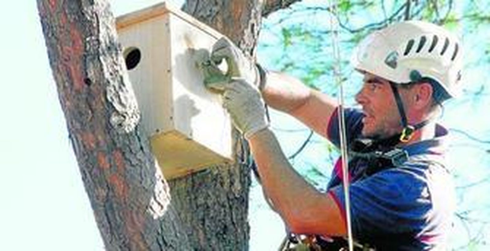 Arriba y en el centro, distintos momentos de la colocación de un nido. Abajo, foto de grupo con los usarios de Faisem.