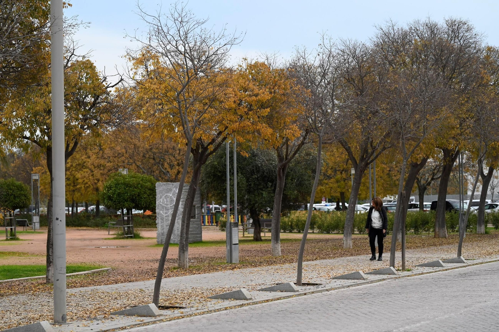 Otoño hojas caídas árboles córdoba