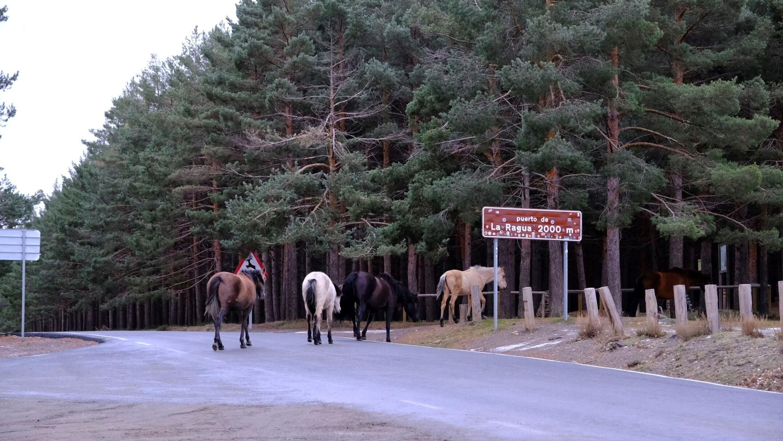Así está el Puerto de La Ragua, la 'otra' Sierra Nevada